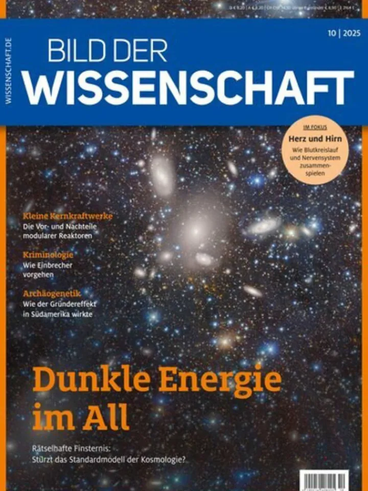 Hubert Burda Media Sonstige Gutscheine<14 x BILD DER WISSENSCHAFT Zeitschrift (Gutschein für Jahres Abo)