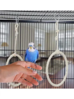 relaxdays Vögel<2 x Vogelschaukel-Ring in Natur - Ø 15 cm