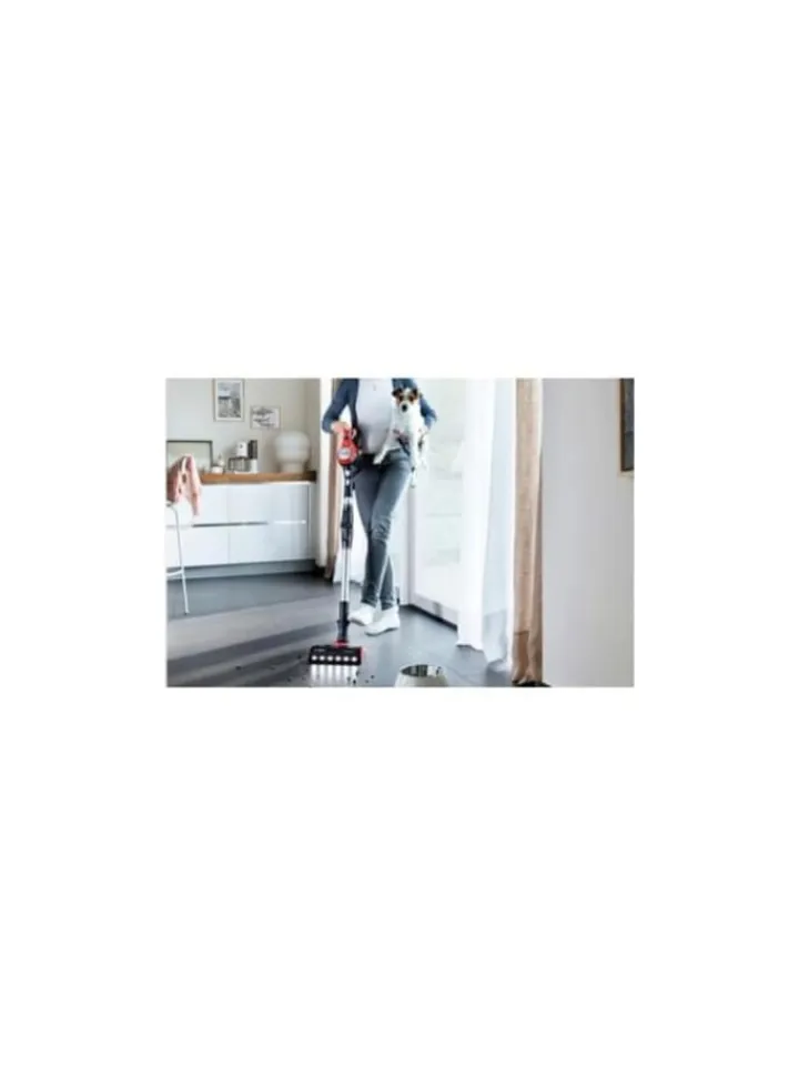 Bosch Staubsauger<Akkuhandstaubsauger ProAnimal Unlimited 7 in Rot