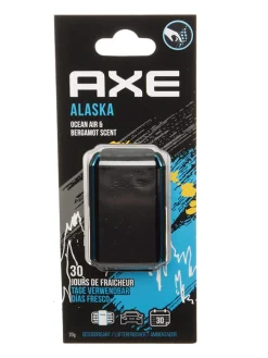 Axe Klima & Haushalt<Auto-Lufterfrischer "Alaska", 20g