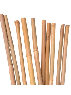 UNUS Pflanzen & Zubehör<Bambusstäbe 120 cm in Braun
