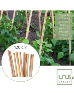 UNUS Pflanzen & Zubehör<Bambusstäbe 120 cm in Braun
