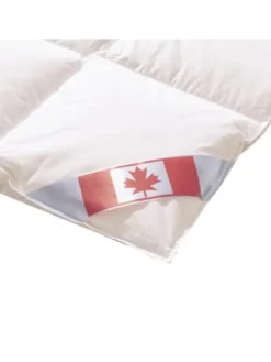Künsemüller Kindermöbel|Bettwäsche & Bettwaren<Bettdecke Daunendecke Canada Leicht in Weiß