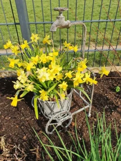 Ambiente Haus Gartendekoration<Blumenständer mit Wasserhahn in antikgrau