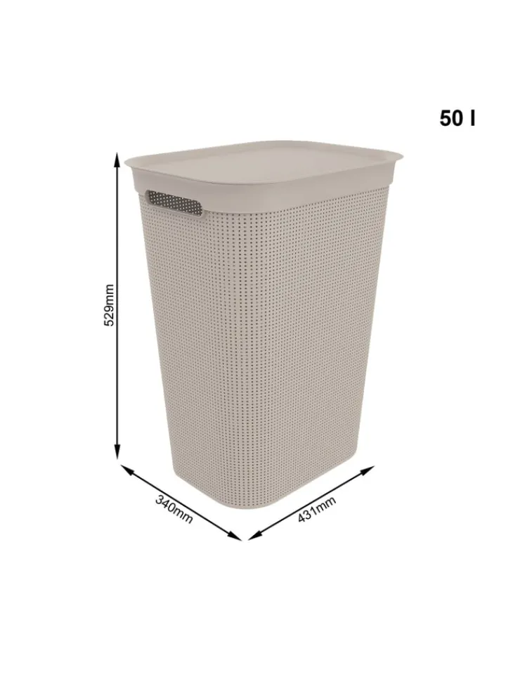 Rotho Wäschekörbe & -Ständer<Brisen Wäschebox 50l mit Deckel und Griffe in Cappuccino