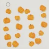 Boltze Wohndekoration<Capiz-Girlande "Pumpkin" in Orange - (L)180 cm