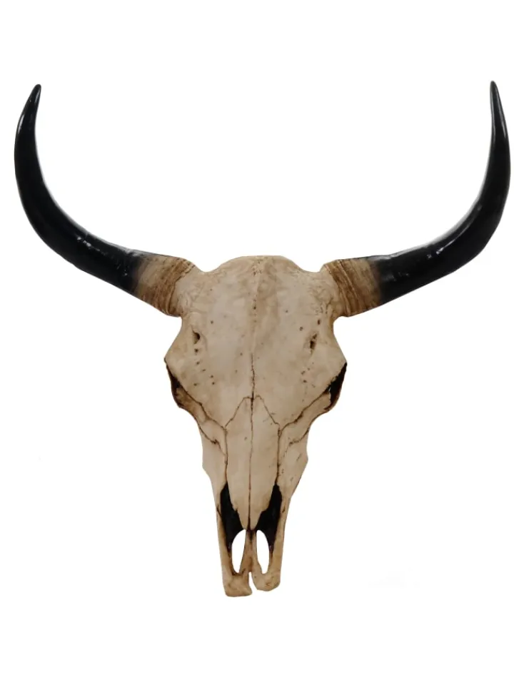 MCW Gartendekoration<Deko Schädel Stier, Natur