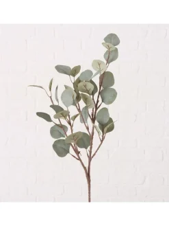 Boltze Kerzen, Vasen & Mehr<Dekozweig "Eukalyptus" in Grün - (L)69 cm