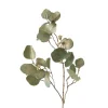 Boltze Kerzen, Vasen & Mehr<Dekozweig "Eukalyptus" in Grün - (B)30 x (H)82 cm