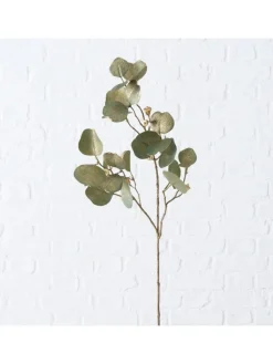 Boltze Kerzen, Vasen & Mehr<Dekozweig "Eukalyptus" in Grün - (B)30 x (H)82 cm