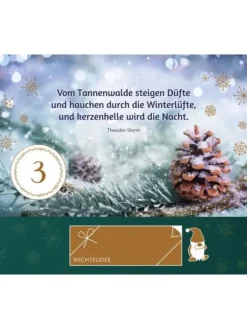 Kaufmann Adventskalender<Der Adventskalender zum Wichteln | 24 Ideen für das Kita-Team