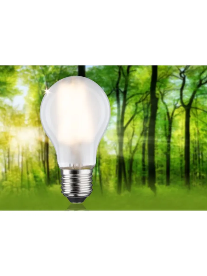 paulmann Leuchtmittel<Eco-Line Filament 230V LED Birne 1er-Set A