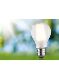paulmann Leuchtmittel<Eco-Line Filament 230V LED Birne 1er-Set A