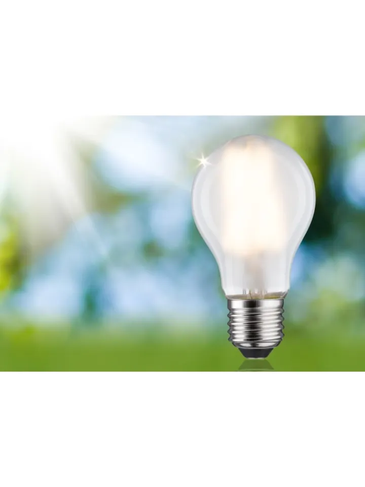 paulmann Leuchtmittel<Eco-Line Filament 230V LED Birne 1er-Set A