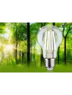 paulmann Leuchtmittel<Eco-Line Filament 230V LED Birne 1er-Set A