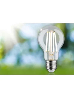 paulmann Leuchtmittel<Eco-Line Filament 230V LED Birne 1er-Set A