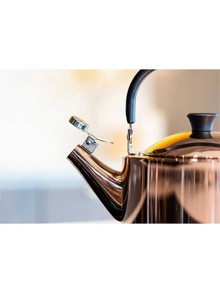 Vialli Design Kochgeschirr<Edelstahl-Wasserkessel - 1,5 l