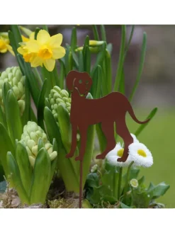 UNUS Gartendekoration<4er Set Gartenstecker Rost Hunde in Braun