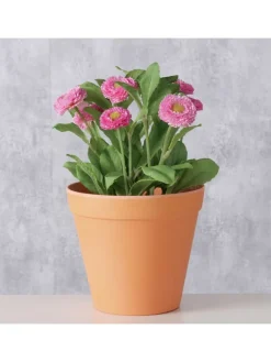 Boltze Kerzen, Vasen & Mehr<2er-Set: Übertöpfe "Giardino" in Orange - (H)13,5 Ø 15 cm