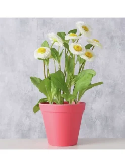 Boltze Kerzen, Vasen & Mehr<2er-Set: Übertöpfe "Giardino" in Pink - (H)9,5 Ø 11 cm