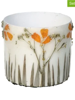 Kersten Pflanzen & Zubehör<3er-Set: Blumentöpfe "Dried Flowers" in Creme - (H)8 x Ø 9 cm
