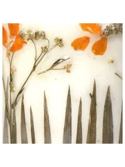 Kersten Pflanzen & Zubehör<3er-Set: Blumentöpfe "Dried Flowers" in Creme - (H)8 x Ø 9 cm