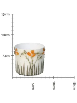 Kersten Pflanzen & Zubehör<3er-Set: Blumentöpfe "Dried Flowers" in Creme - (H)8 x Ø 9 cm