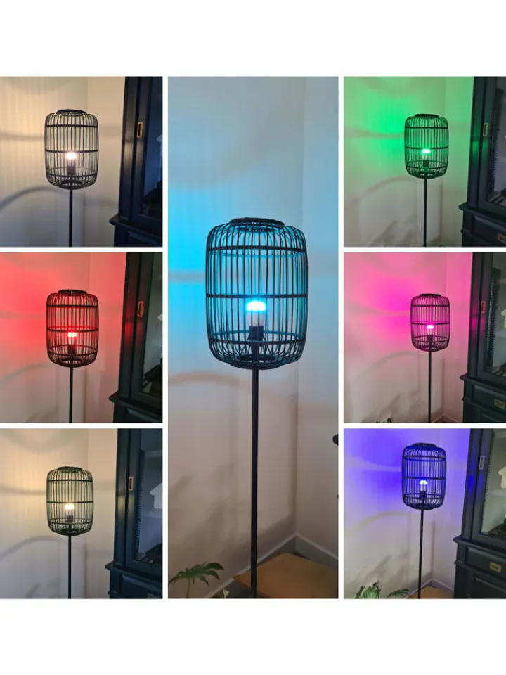 Woox Leuchtmittel<5er-Set: E27 LED-Leuchtmittel in Bunt - EEK G (A bis G)