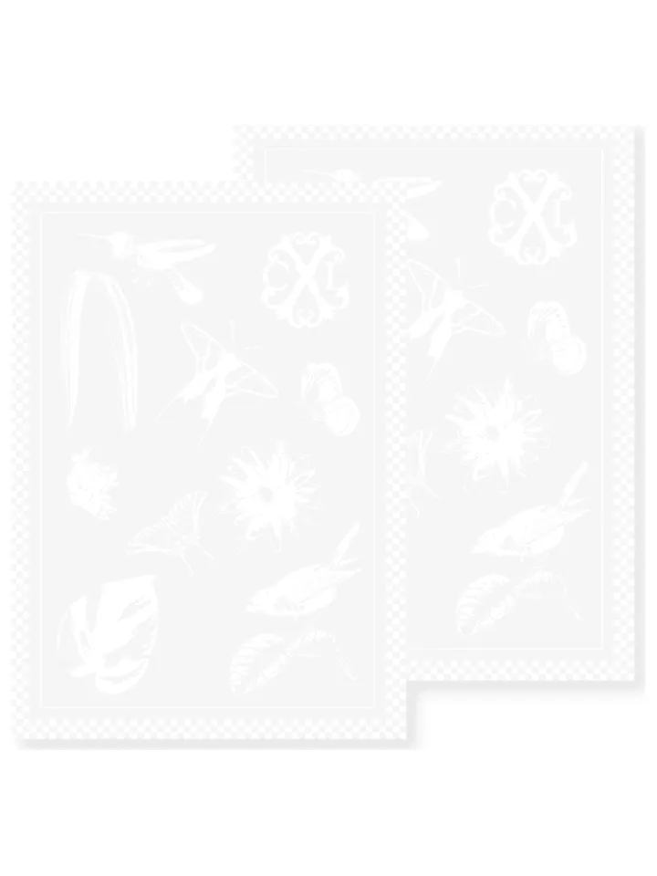 CXL by Christian Lacroix Küchentextilien|Tisch- & Küchentextilien<2er-Set: Geschirrtücher in Weiß