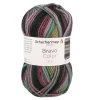 Schachenmayr since 1822 Kreativbedarf & Do-It-Yourself<20er-Set: Kunstfasergarne ''Bravo Color'' in Bunt - 20x 50 g