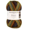 Schachenmayr since 1822 Kreativbedarf & Do-It-Yourself<20er-Set: Kunstfasergarne ''Bravo Color'' in Bunt - 20x 50 g