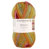 Schachenmayr since 1822 Kreativbedarf & Do-It-Yourself<20er-Set: Kunstfasergarne ''Bravo Color'' in Bunt - 20x 50 g