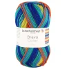 Schachenmayr since 1822 Kreativbedarf & Do-It-Yourself<20er-Set: Kunstfasergarne ''Bravo Color'' in Bunt - 20x 50 g