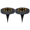 STAR Trading Außenbeleuchtung|Außenleuchten<2er-Set: LED-Solar-Bodenstecker "Lawnlight" in Schwarz - Ø 11 cm