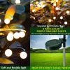 lumisky Außenleuchten|Außenbeleuchtung<4er-Set: LED-Solarleuchten in Schwarz - (H)73 cm