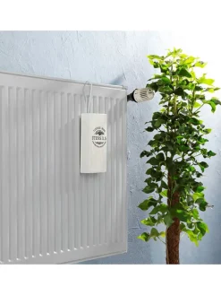 Wenko Weitere Haushaltshelfer<2er-Set: Luftbefeuchter in Creme - (B)9 x (H)19,5 x (T)4 cm
