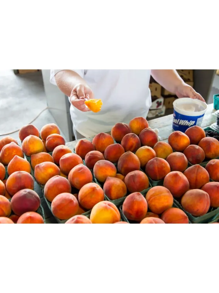 GARDENZO Pflanzen & Zubehör<3er-Set: Pfirsich Redheaven Obstbäume in Bunt