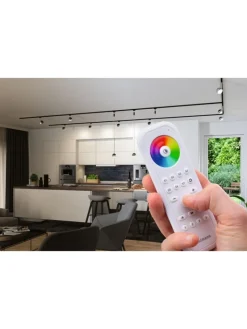 paulmann Smarthome & Wetterstationen<Fernbedienung Gent 2