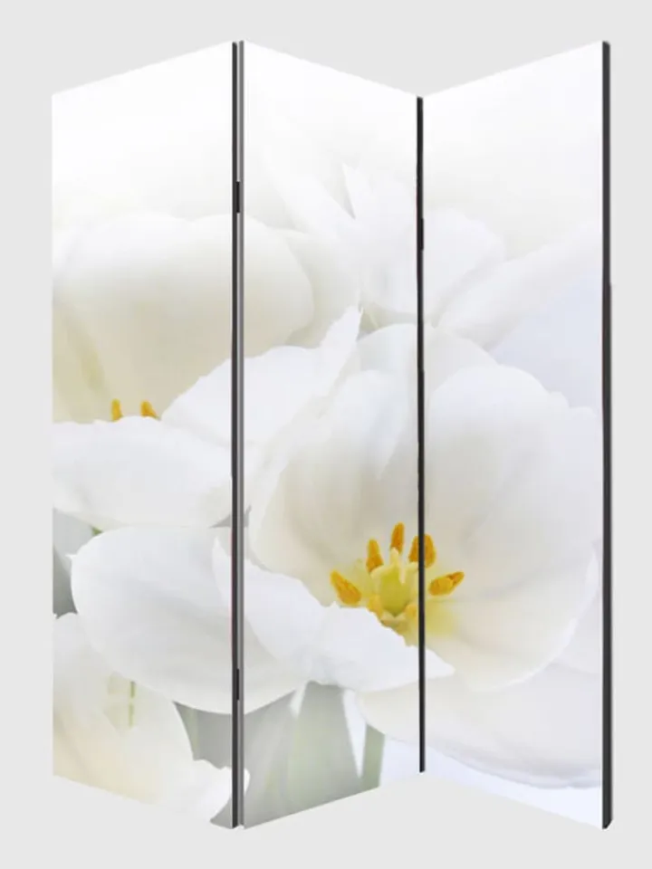 MCW Paravents<Foto-Paravent Bagheria, 180x120cm, Orchidee