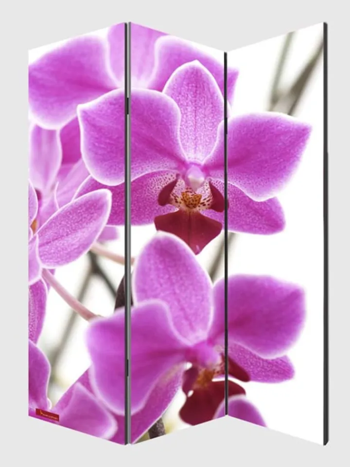 MCW Paravents<Foto-Paravent Bagheria, 180x120cm, Orchidee