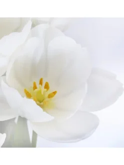 MCW Paravents<Foto-Paravent Bagheria, 180x120cm, Orchidee