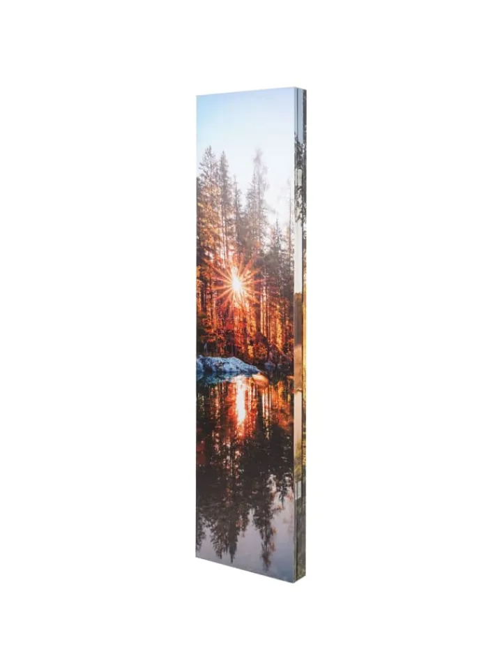 MCW Paravents<Foto-Paravent mit Schallschutz L55, 180x122cm Waldsee