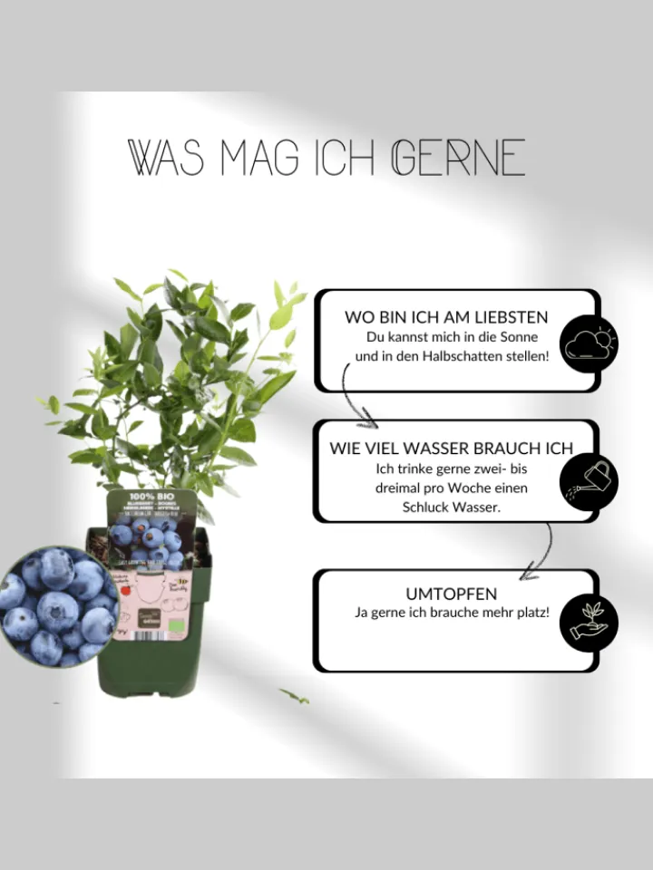 NatureNest Pflanzen & Zubehör<Frucht-Oase BIO-Obstpflanzen-Mix-Set mit 5 verschiedenen Sorten