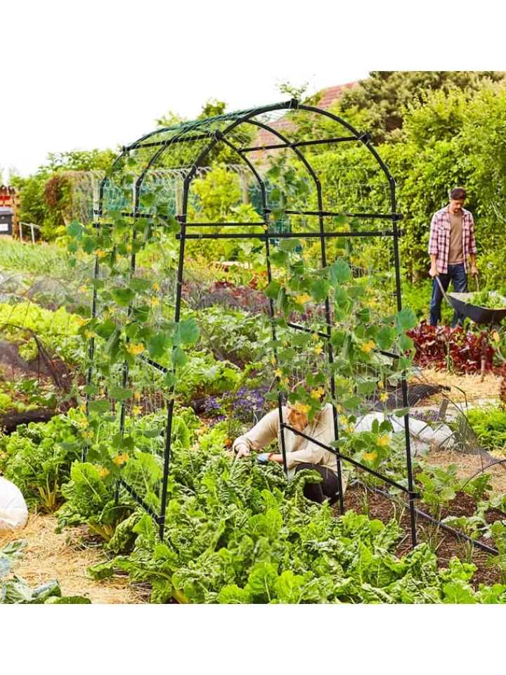 COSTWAY Pflanzen & Zubehör<Gartenbogen 230cm in Schwarz