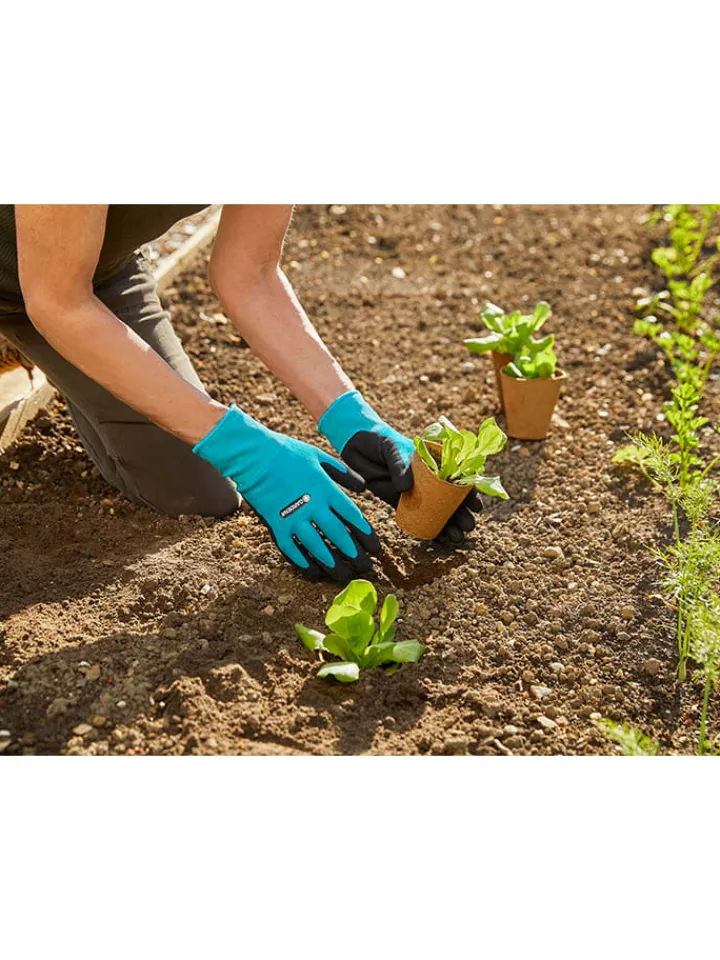 Gardena Gartendekoration<Gartenhandschuhe in Hellblau/ Schwarz
