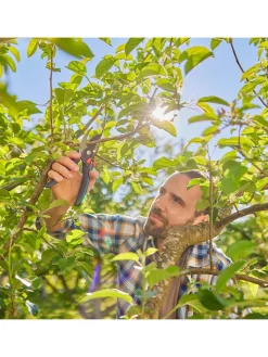 Gardena Gartendekoration<Gartenschere "Premium Cut Pro Flex" in Grau