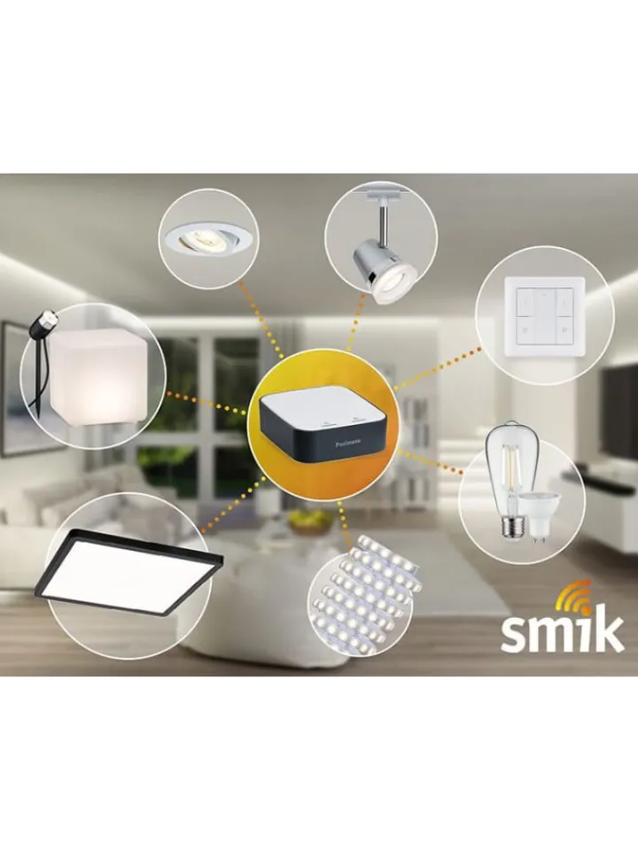 paulmann Smarthome & Wetterstationen<Gateway smik