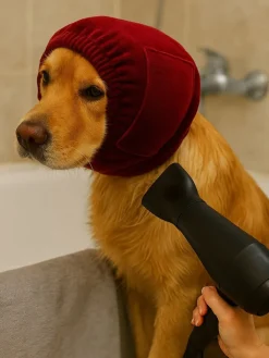 Paws&Whiskers Hunde<Gehörschutz-Stirnband in Rot