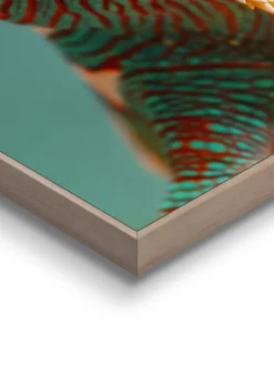 Orangewallz Wanddekoration<Gerahmter Kunstdruck "Karma Chameleon"