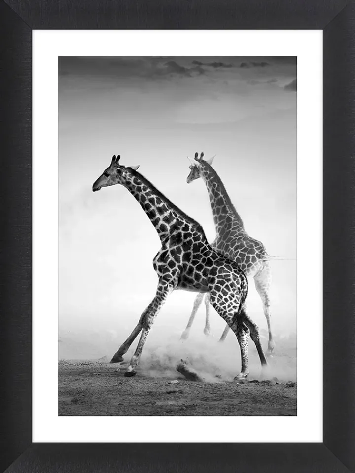Ars Longa Wanddekoration<Gerahmter Kunstdruck "Running Giraffes" - (L)70 x (B)50 cm